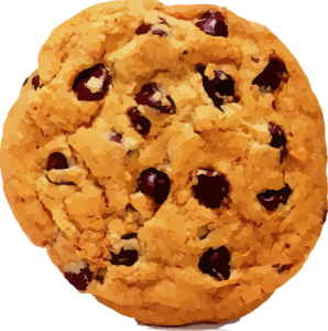 Oatmeal Cookie